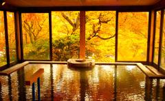 今から予約♡全国紅葉の楽しめる温泉5選 -