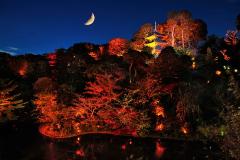 「夜デート行かない？」東京都内の紅葉ライトアップスポット6選【2018年】