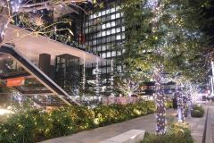 女子が誘われたい冬の本命デートの定番！銀座のイルミネーション＆クリスマススポット5選