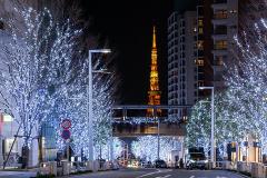 “イルミネーションの聖地”六本木で大人の夜を…六本木ヒルズ＆東京ミッドタウンでイル