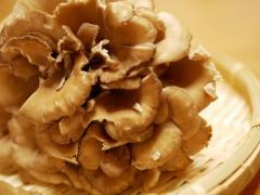 風邪予防になる！？肌の乾燥に効く？！ おすすめ「秋が旬の食材」を教えます♪ - ビューテ