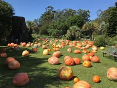いま話題！デートにおすすめの東京・神奈川のイベント[2018年11月最新版]