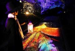 兵庫のアニメパーク「ニジゲンノモリ」に「NARUTO」「BORUTO」の常設新エリア、来春オープン