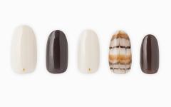 チョコレートで描いたようなピーコック風「カフェラテアート」ネイル |