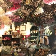 ドライフラワーに囲まれた京都の素敵空間カフェ「プルミエ・エタージュ」 - ビューティー