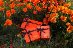 【2019年バレンタイン特集】大切な人へ贈りたい！おすすめチョコレート12選 - ビューティー