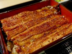 超希少な“幻のうなぎ”が味わえる!? 「共水うなぎ」に惚れ込んだ職人による『うなぎ 目白