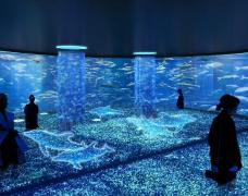 よみうりランド、アート水族館＆エンタメ植物園の新設を発表　スーパー遊園地へと進化