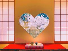 ピンク色の世界にうっとり♡何度でも訪れたい桜の名所7選 -