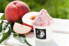 「あいぱく」マニア厳選アイス100種以上がGWの銀座三越に集結