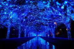 「青の洞窟SHIBUYA」2019年も開催決定、60万球ライトアップで渋谷が青の世界に