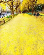 秋に恋して♡東京近郊の癒やされ「秋デートスポット」 -