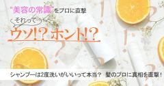 シャンプーは2度洗いがいいって本当？ 髪のプロ・美容師さんに真相を直撃！【美容の常識ウ
