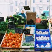 地中海式ダイエットは健康的な体になれる食事 | ビューティーガール