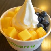 ダイエット中のスイーツとしておすすめしたいフローズンヨーグルト | ビューティーガール