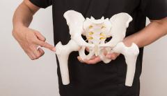 男性より女性が、「ぽってり下半身」になりやすい理由|＠ビューティーガール