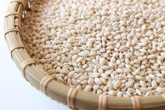 【テレビで話題】2週間で5キロ痩せ！「もち麦ダイエット」でダイエット成功者続出|＠ビュ