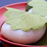 五月五日は子供の日　柏餅はダイエット中にオススメのスイーツ | ビューティーガール