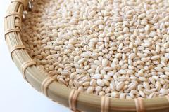 ダイエット効果＆健康効果　もち麦パワーでシンプル＆簡単ダイエット|＠ビューティーガー