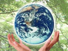 今すぐできる最も身近なエコ、それはダイエット！ | ビューティーガール