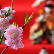 ひな祭りによく飲まれる「甘酒」はダイエットや美容に優れた飲み物だった！ | ビューティ