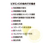 ビタミンCはアンチエイジングの最強の味方 | ビューティーガール