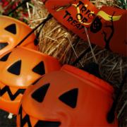 ハロウィンに欠かせない"かぼちゃ"が美容とダイエットにイイ！ | ビューティーガー