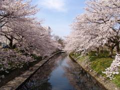 春はダイエットを始めるのにぴったりの季節！ | ビューティーガール