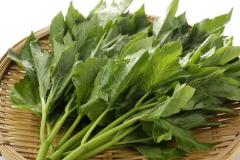 明日葉ダイエットでむくみをスッキリ解消！【効果的なやり方とは？】|＠ビューティーガー