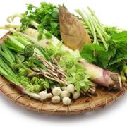 旬の春野菜でダイエットを促進！ | ビューティーガール