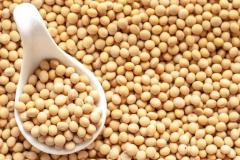 大豆がダイエットにおすすめな理由【ひと工夫で効果アップ】|＠ビューティーガール