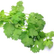 特徴は香りだけじゃなかった！パクチーの美容＆ダイエット効果に注目 | ビューティーガー