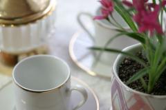 ハーブティーでダイエット＆エイジング | ビューティーガール