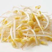 もやしダイエットは低カロリーで栄養たっぷり！疲労回復成分はアスパラの2倍！ | ビューテ