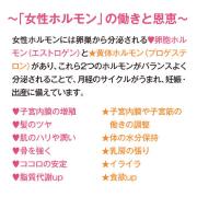 すべての女性必見！女性ホルモン力を上げよう！ | ビューティーガール