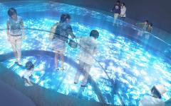 すみだ水族館、開業後初の大規模リニューアル クラゲを真上から見下ろす新展示が誕生