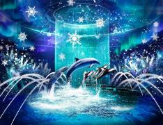 マクセルアクアパーク品川で冬イベント「ネイキッド スノウ アクアリウム」館内全体で“海