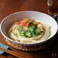 家族が喜ぶ♡さっぱり「冷やしうどん」の絶品レシピ10選 -