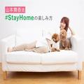 おうちでゆるメンテナンスを実践中！ 『山本舞香流#Stay Homeの楽しみ方』vol.1