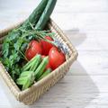 トマト、きゅうり、オクラ「夏野菜」のラクうま副菜レシピ -