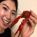 イケアの「冷凍ザリガニ」を食べてみた。北欧の夏の味は美味しい？キモい？ | ビューティ