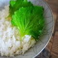余った「青しそ」を使いきる絶品レシピ2つ。ごはんの進みすぎに注意 | ビューティーガール