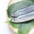 【秋刀魚の旬】おいしい食べ方と鮮度の見分け方を知って味わいつくそう - ビューティーガ