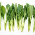 小松菜は栄養豊富な野菜！ほうれん草との違いやおすすめの調理法を紹介 - ビューティーガ