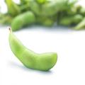 【枝豆と大豆の違い】それぞれの魅力や味わい方に迫る！黒豆も大豆？ - ビューティーガー