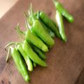 ししとうが辛いのはなぜ？簡単に見極める方法やおすすめの食べ方を紹介 - ビューティーガ