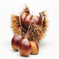 ［一粒に栄養たっぷり］実はダイエットにも効果的な「栗」の魅力 -