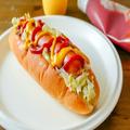 キャベツでアレンジ！ホットドックのおすすめレシピ3選 -
