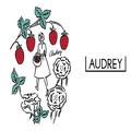 「AUDRY」や「Tartine」からパケ買い必須のクリスマス限定BOXのお菓子が登場。自分へのご褒美
