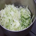 キャベツ1玉が消えていく！マヨネーズを使わないうちのコールスロー -